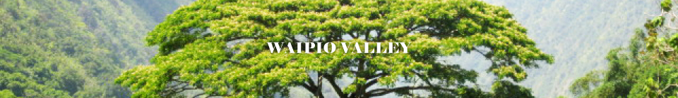 WAIPIO VALLEY