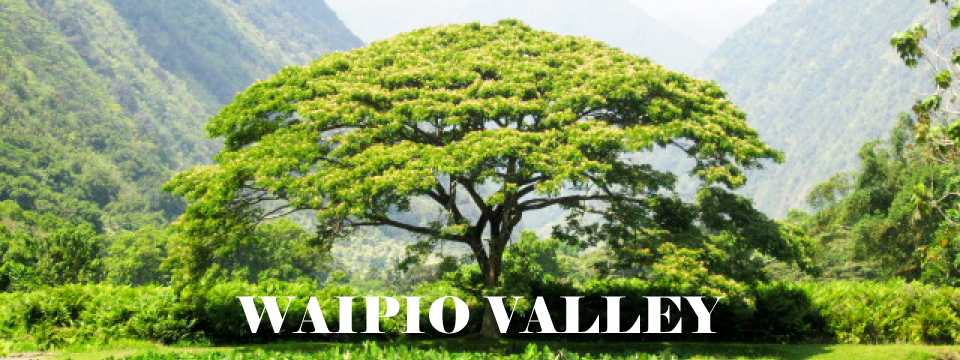 WAIPIO VALLEY